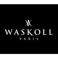 Waskoll logo - Similar company to Souk And Pix