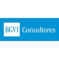 BGVI Consultores logo - Similar company to Fintrade Uruguay