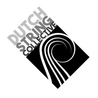 Dutch String Collective logo - Similar company to The Analogues