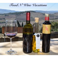 Food N' Wine Vacations logo - Similar company to Zachys Wine Auctions
