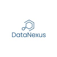 Data Nexus logo - Similar company to Data Nexus