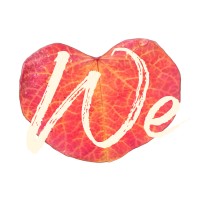 WeReimagine logo - Similar company to The Skinny Platform