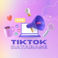 TikTok Database logo - Similar company to Lli Oy