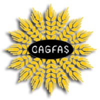 BAGFAŞ Bandırma Gübre Fabrikaları A.Ş logo - Similar company to Blinken Studio