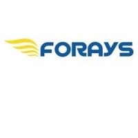 FORAYS SERVICES & CONSTRUCTIONS PVT LTD logo - Similar company to Techno Concept Ltd