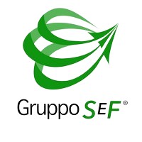 Gruppo SEF S.r.l. logo - Similar company to Alfa Studio Srl