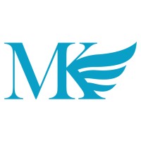 TAKEFLIGHT logo - Similar company to Sirius Game Studio