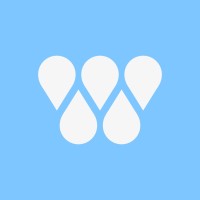 WorldSprings logo - Similar company to Myndspan