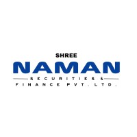 Shree Naman Securities and Finance Pvt Ltd logo - Similar company to Zen: Mastering The Trading Game