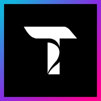 TechSole logo - Similar company to Vision Bridge