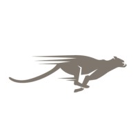 Above Standard | Digitalt bureau logo - Similar company to Gamipress