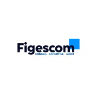 Figescom - Conseil, Expertise et Audit logo - Similar company to Excelco