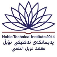 Noble Technical Institute logo - Similar company to Minerva Ai Lab Group