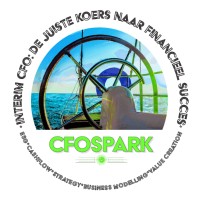 CFOSpark logo - Similar company to Cfo4All