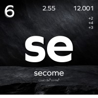 Secome. logo - Similar company to Secome