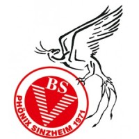 BSV Phönix Sinzheim logo - Similar company to Mvz Ceos Achern Gmbh