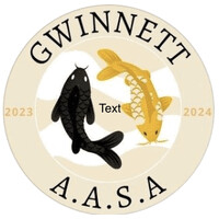 Gwinnett Asian American Student Association
