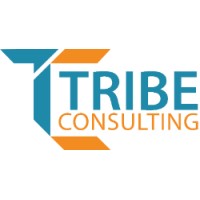 Tribe Consulting (Pvt.) Ltd. logo - Similar company to The Lead Forum