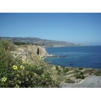 Palos Verdes Pulse