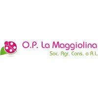 O.P. La Maggiolina logo - Similar company to L'Insalata Dell'Orto Srl