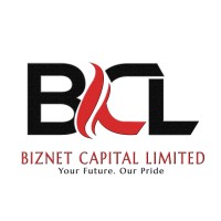 Biznet Capital Limited logo - Similar company to Jisort