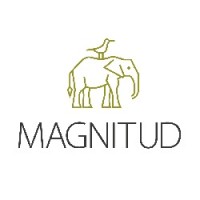 Magnitud SH Group logo - Similar company to Iago Design