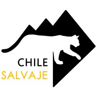 Chile Salvaje logo - Similar company to Planet Madagascar