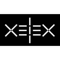 XeleX logo - Similar company to Kieswijs Young Professionals