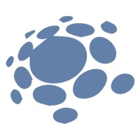 Zintel Webdesign