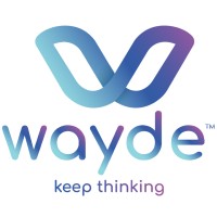 WAYDE LLP logo - Similar company to Metarootz It Infrastructure