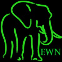 Expert Witness Networks logo - Similar company to Elite Medical Experts
