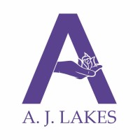 AJ Lakes Consultancy & AJ Lakes Training Academy Ltd logo - Similar company to O' Naps