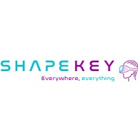 Shapekey logo - Similar company to D A T A T I K A