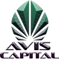 AVIS Capital LTD logo - Similar company to Gulf Business Foundation