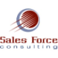 Sales Force Consulting