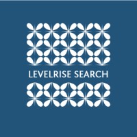 LevelRise Search logo - Similar company to Attollo Recruiting