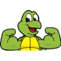 Steadyturtle