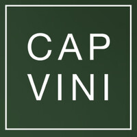 CAPVINI logo - Similar company to Cerbaco Ltd.
