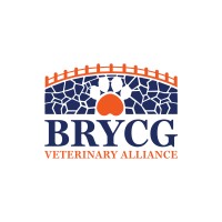 Brycg Veterinary Alliance logo - Similar company to Gap Concepts Llc