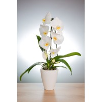 Hörter Tonwarenfabrik GmbH logo - Similar company to Cm Recruiting