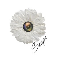 Scape logo - Similar company to Jemo Interior Design Shanghai For Home Design Or Professionnal Design (Restaurant, Hotel, Office...)