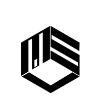 Main State Ventures logo
