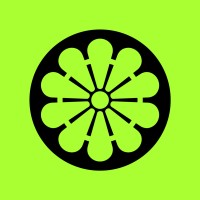 Digilime logo - Similar company to Digilime Consulting