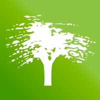 Yagur Nurseries | משתלות יגור logo - Similar company to Nito Tech Management Services