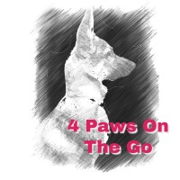4 Paws On The Go