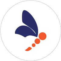 Firefly Pros logo - Similar company to Vforce Infotech
