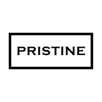 Pristine Group logo - Similar company to Codeboxr