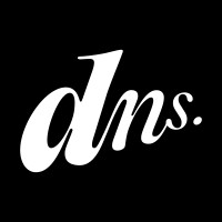 DnS Future logo - Similar company to Waybeyond (로드맵)