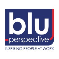 blu perspective logo - Similar company to Perspective Blue