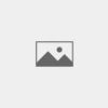Divorce and Domestic Violence Law Expert logo - Similar company to Rccpl